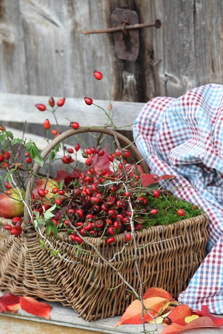 Herbstlich dekorierter Weidenkorb mit Hagebutten, Moos und Äpfeln auf Vintage Bank