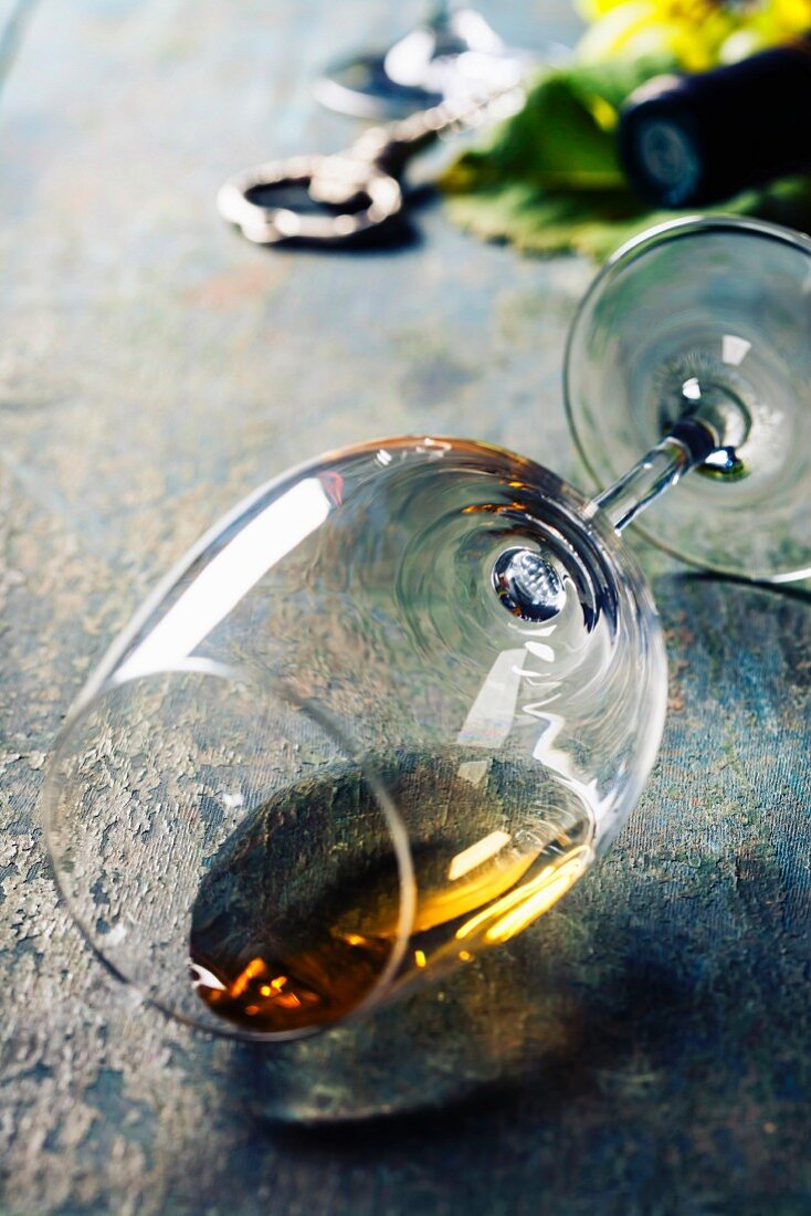 Glass of white wine on dark background