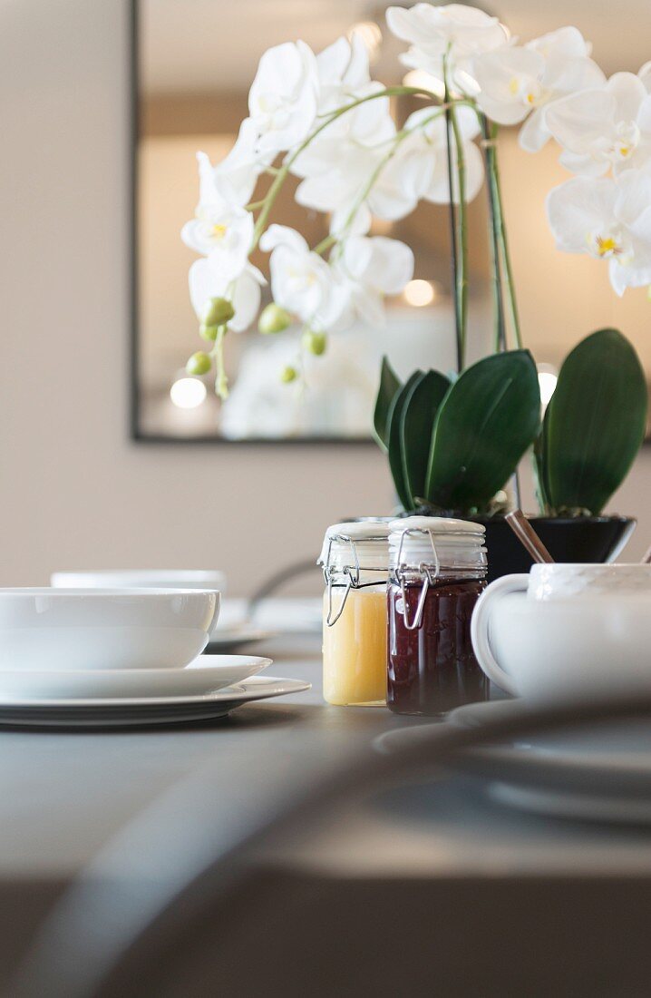 Marmelade und Lemon Curd auf gedecktem Frühstückstisch mit Orchidee
