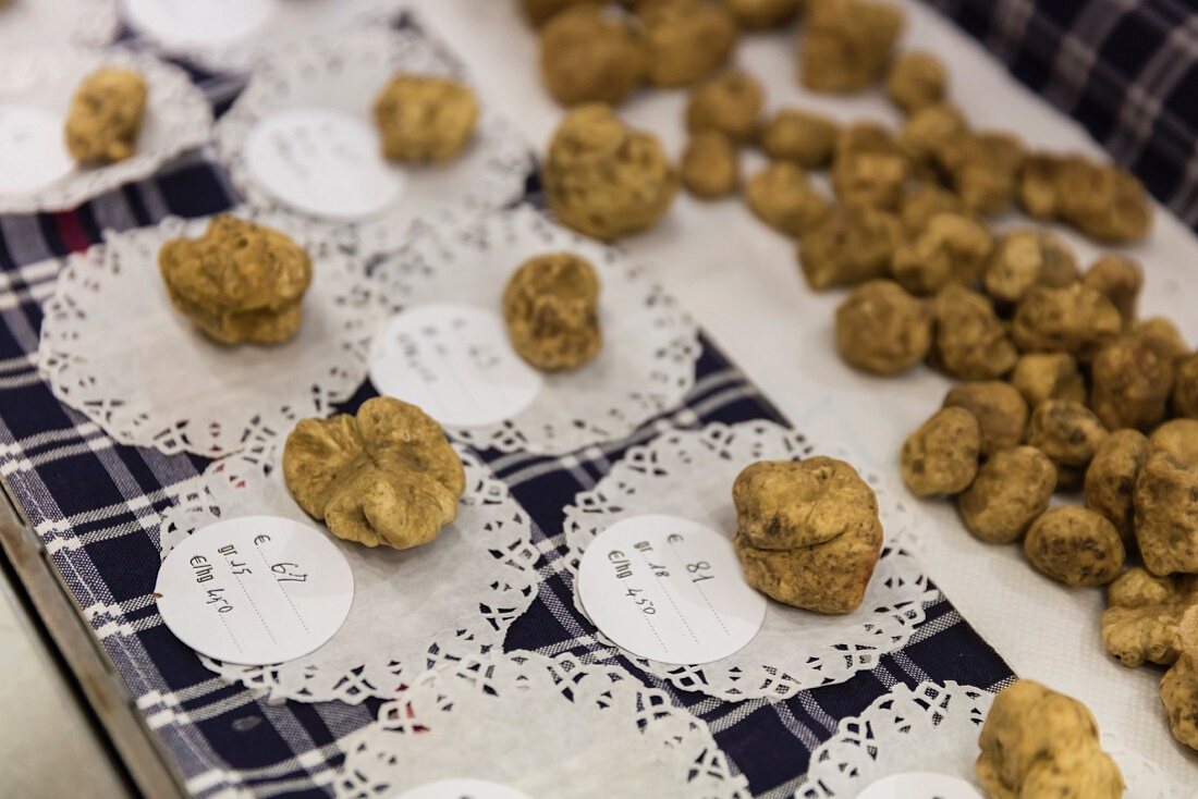 White truffles at the stall of Bruno Gallo on the truffle market in Alba, Piedmont, Italy