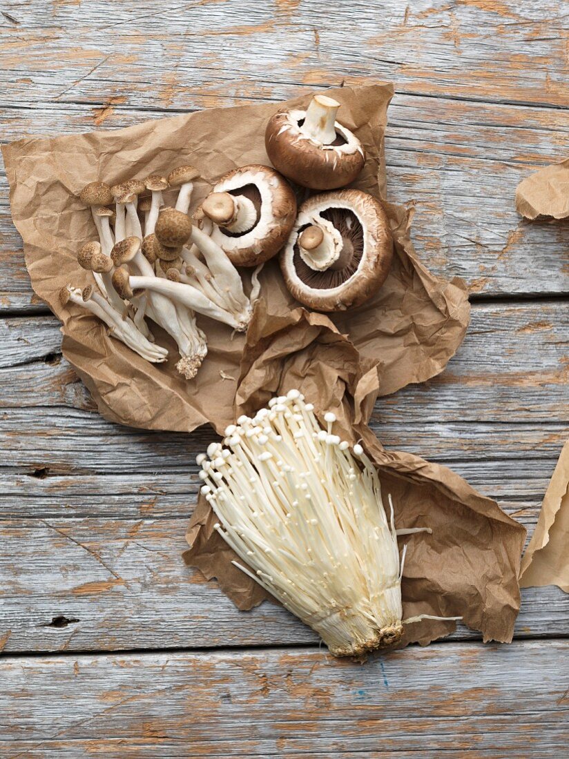 Various fresh mushrooms on paper and a wooden background