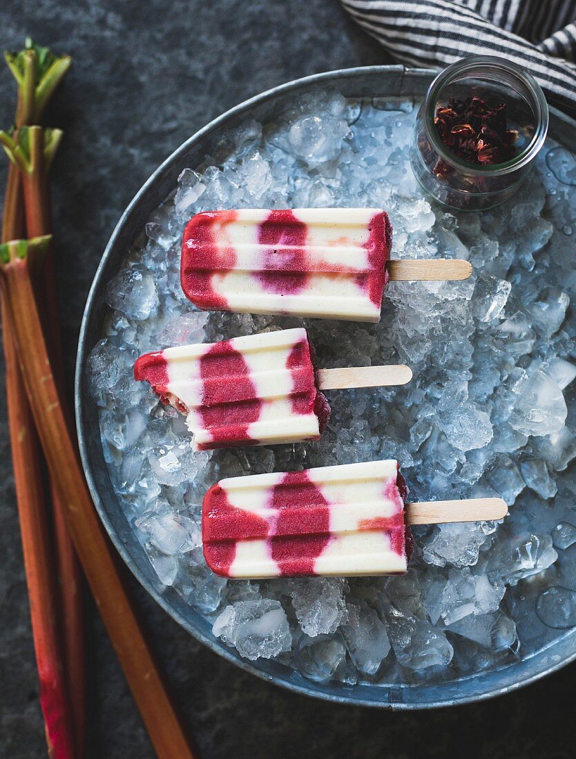 Hibiscus, Rhubarb and Yogurt Ice Pops