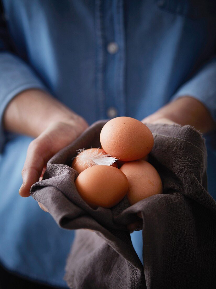 Hände halten frische Eier mit Hühnerfeder