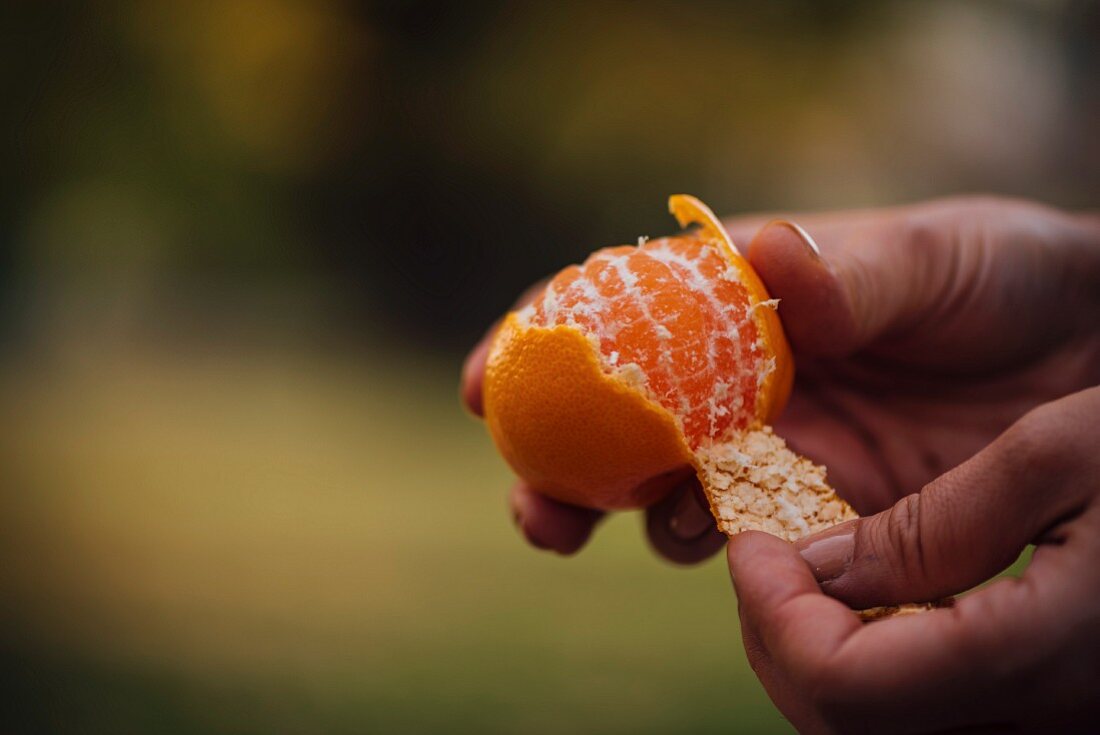 Hände pellen eine Mandarine