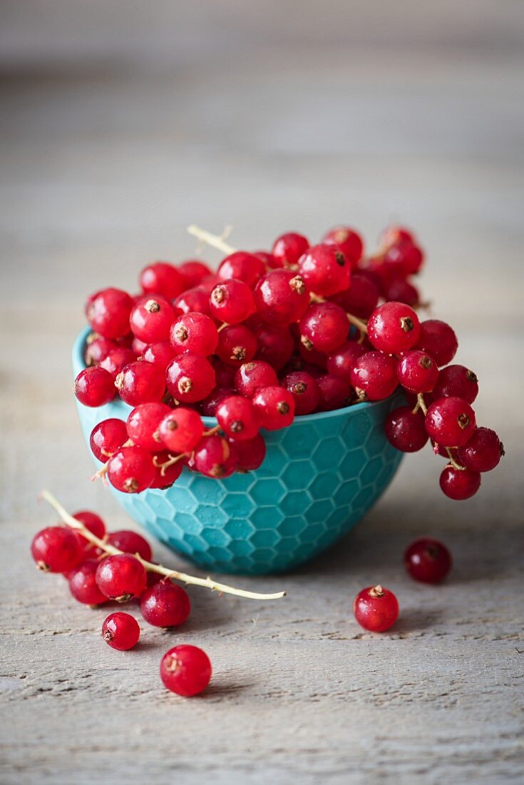 Redcurrants in a turquoise bowl