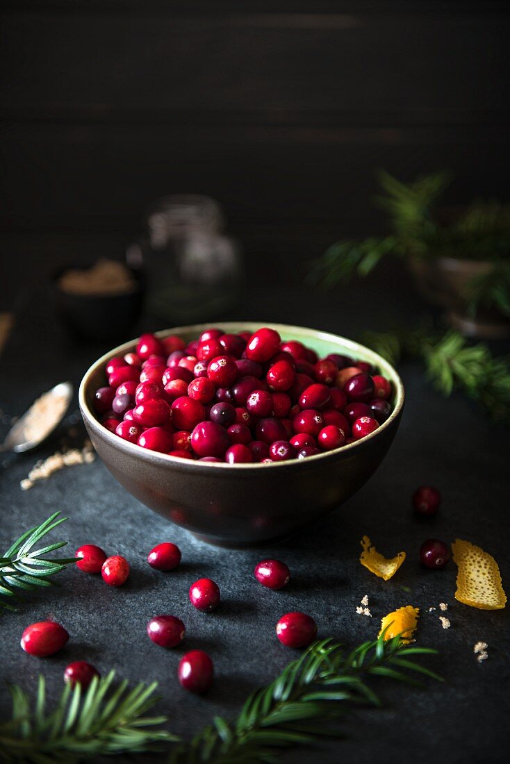 Frisch Cranberries in Schälchen