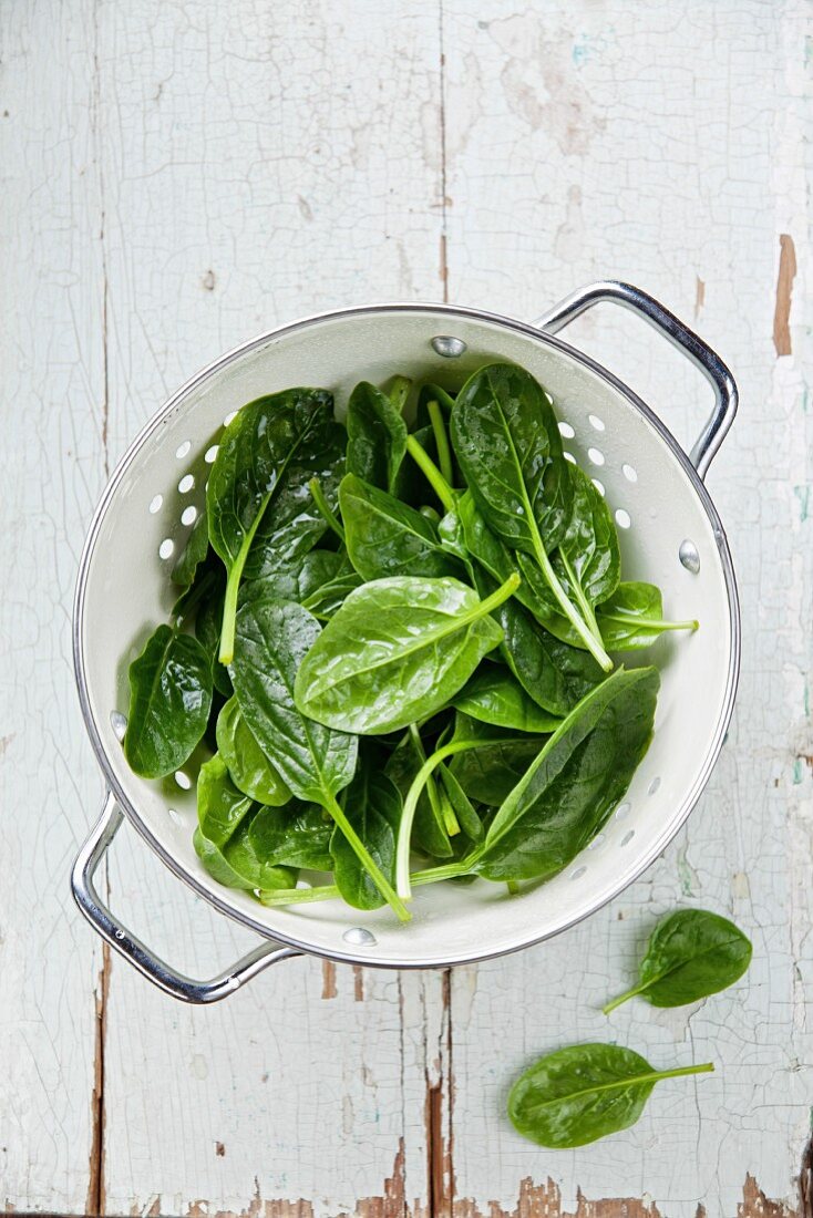 Fresh spinach leaves in colander