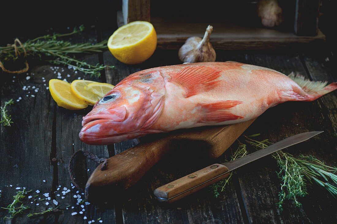 Raw fish grouper on wooden cutting board with sliced lemon, rosemary and saltover old wooden kitchen table