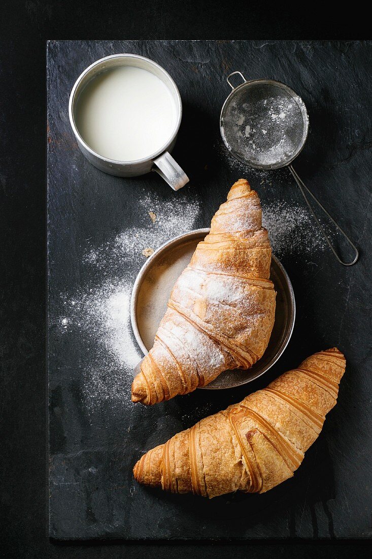 Two fresh baked croissants with sugar powder served with aluminum cup of milk