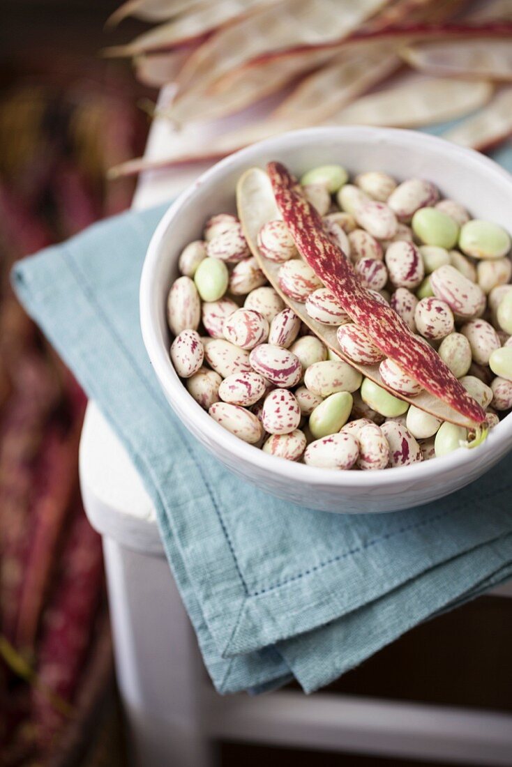 Borlotti Beans in White Bowl on Chair