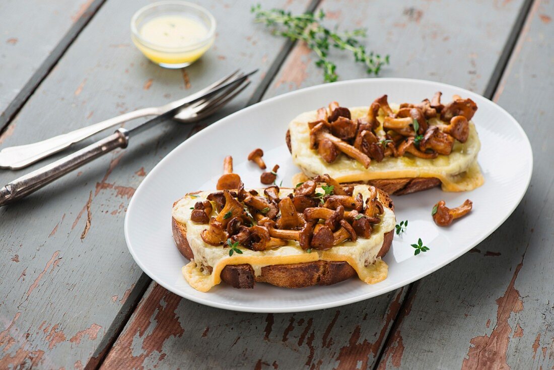 Chanterelle sandwiches with cheese