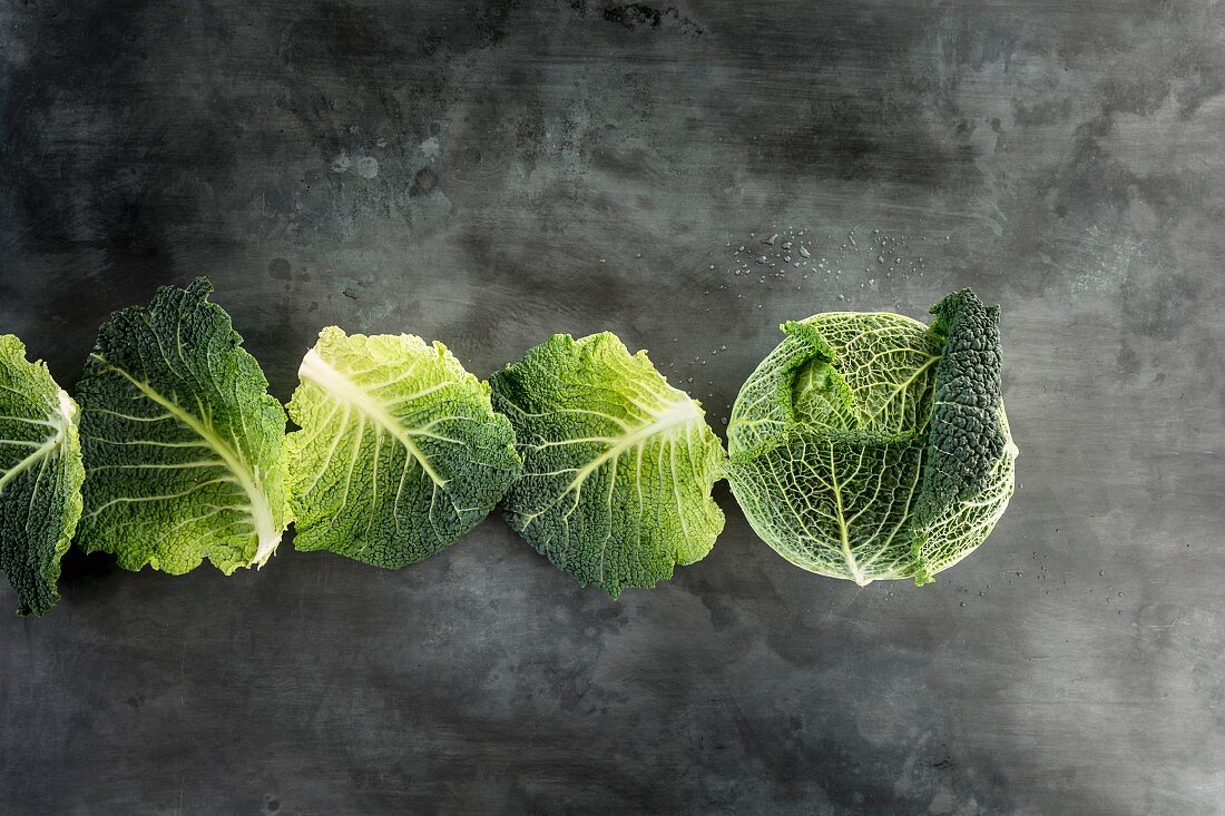 Savoy cabbage and row of cabbage leaves on a grey stone surface