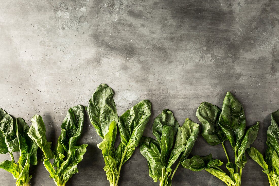 Row of spinach leaves on a grey stone surface