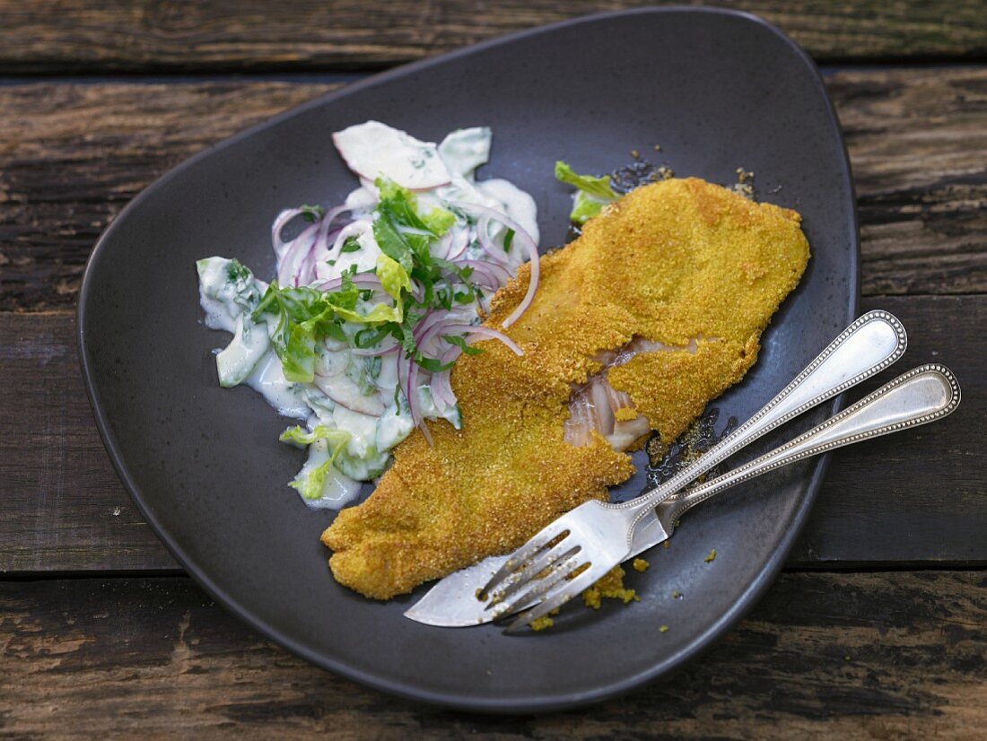 Trout in a polenta crust with a cucumber and apple salad