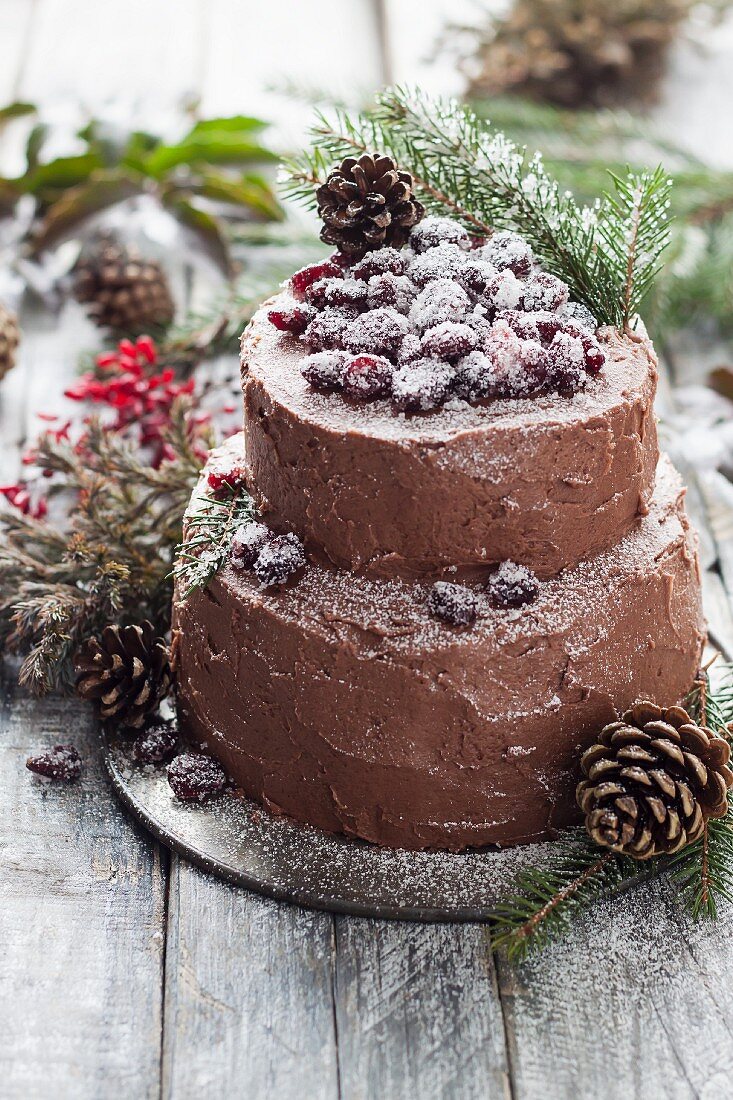 Christmas cake with cranberry and chocolate frosting