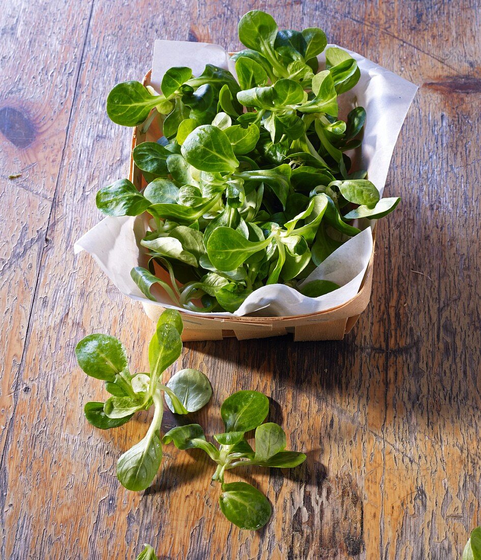 Fresh lamb's lettuce in and in front of a woodchip basket