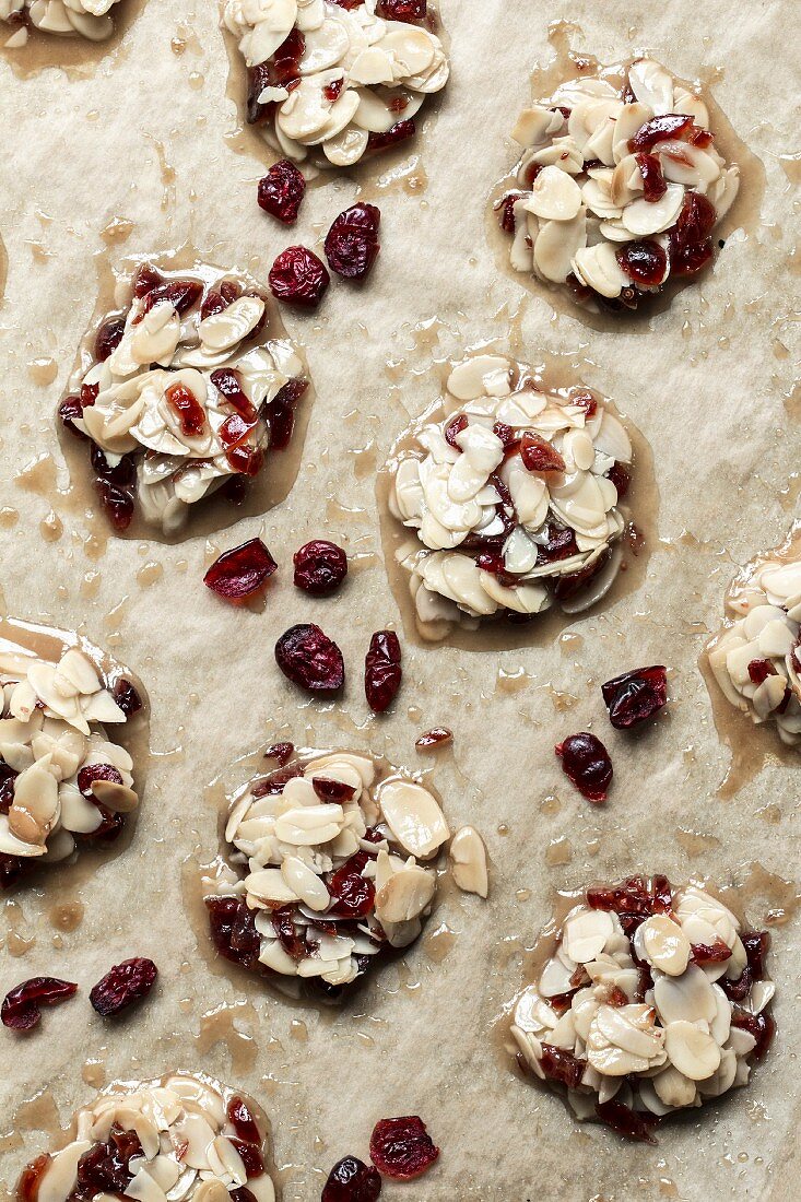 Florentine with cranberries