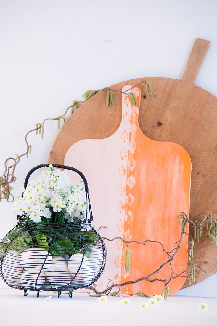 White primula and hazel twigs in egg basket in front of chopping boards