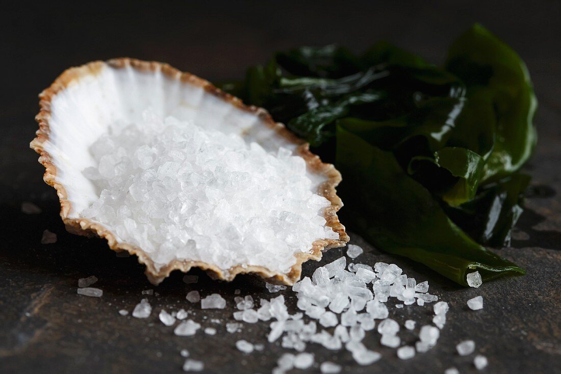 Coarse salt in a sea shell next to wakame seaweed and spilled salt, on dark stone.