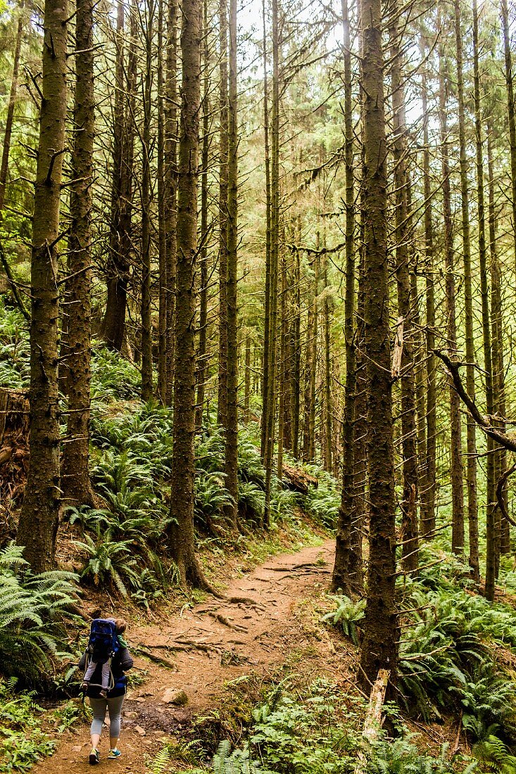 A mother carrying her young daughter on her back, walking along a forest path