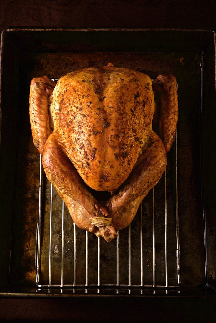 Whole baked turkey on a backing rack from above