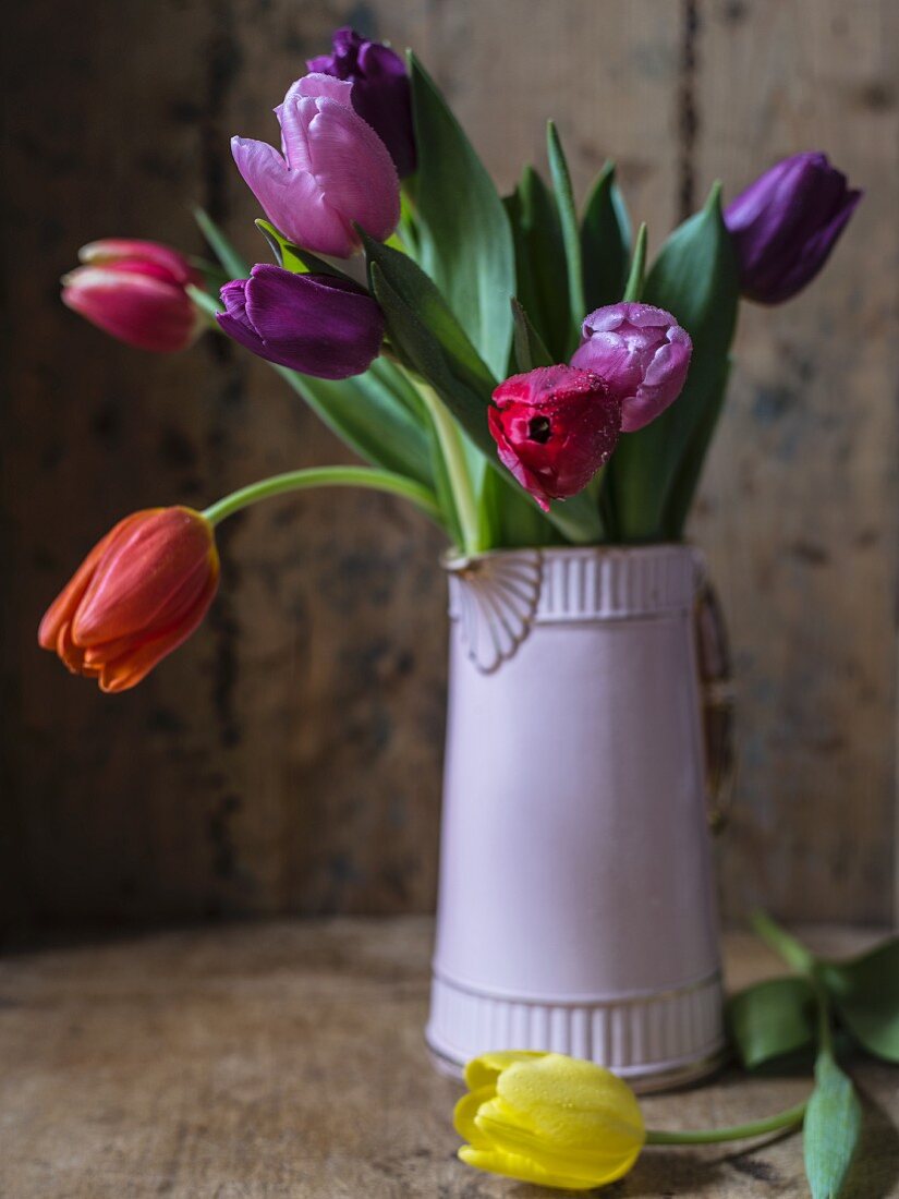 Tulips in lilac jug