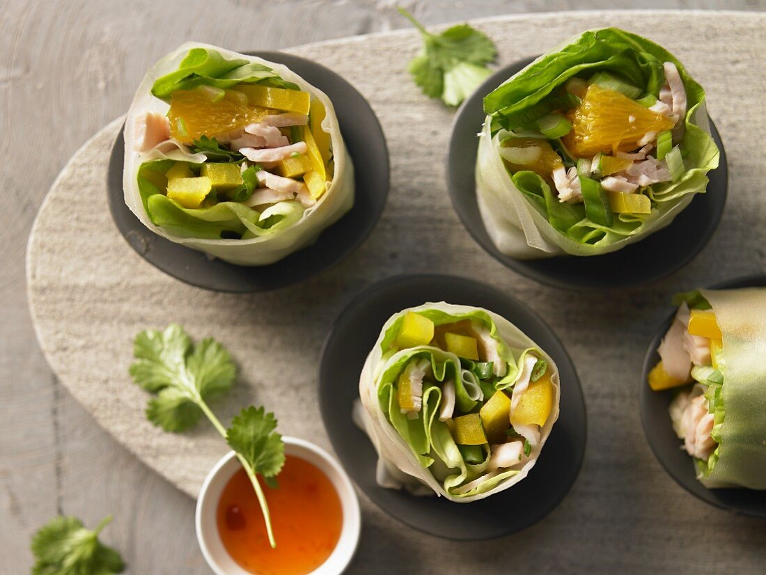 Stuffed rice paper rolls with turkey breast, peppers, orange and coriander