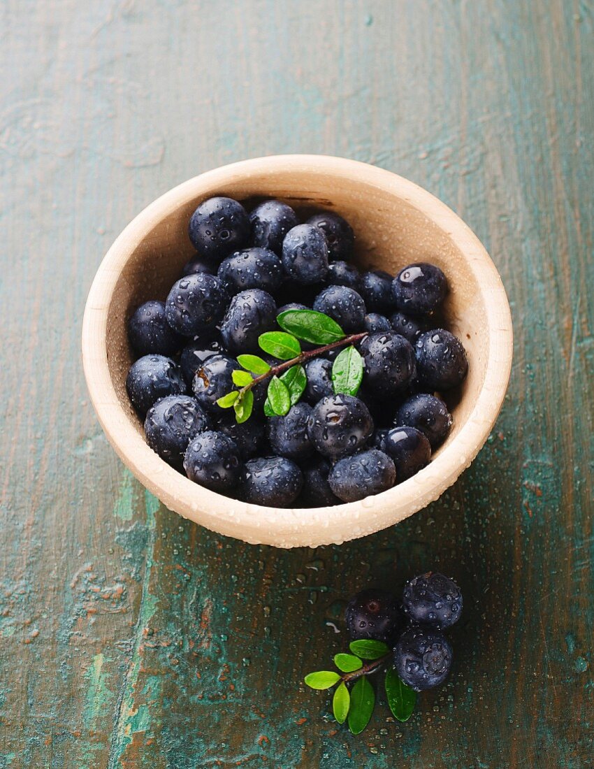 Heidelbeeren in kleiner Schale