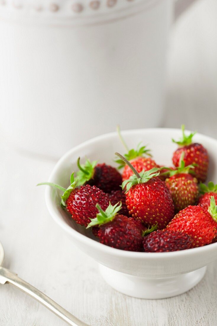 Homegrown Alpine Strawberries in Bowl