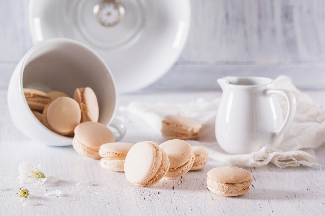 Vanilla Macarons auf weißen Holztisch