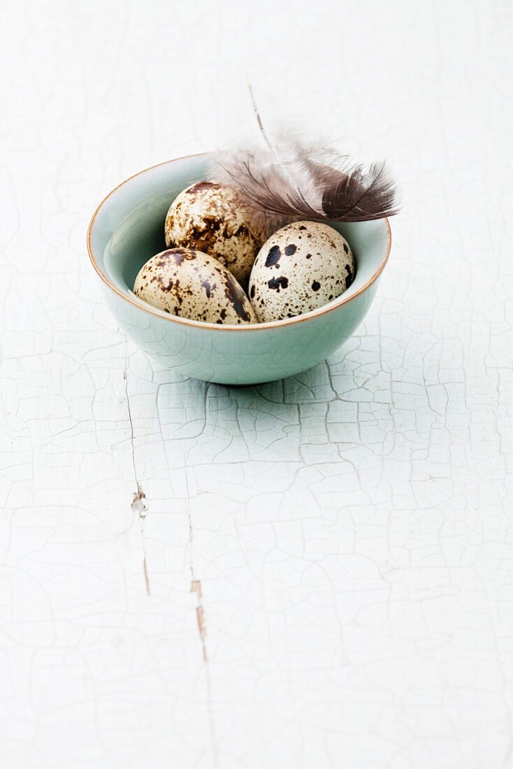 Blue bowl with fresh quail eggs on wooden background