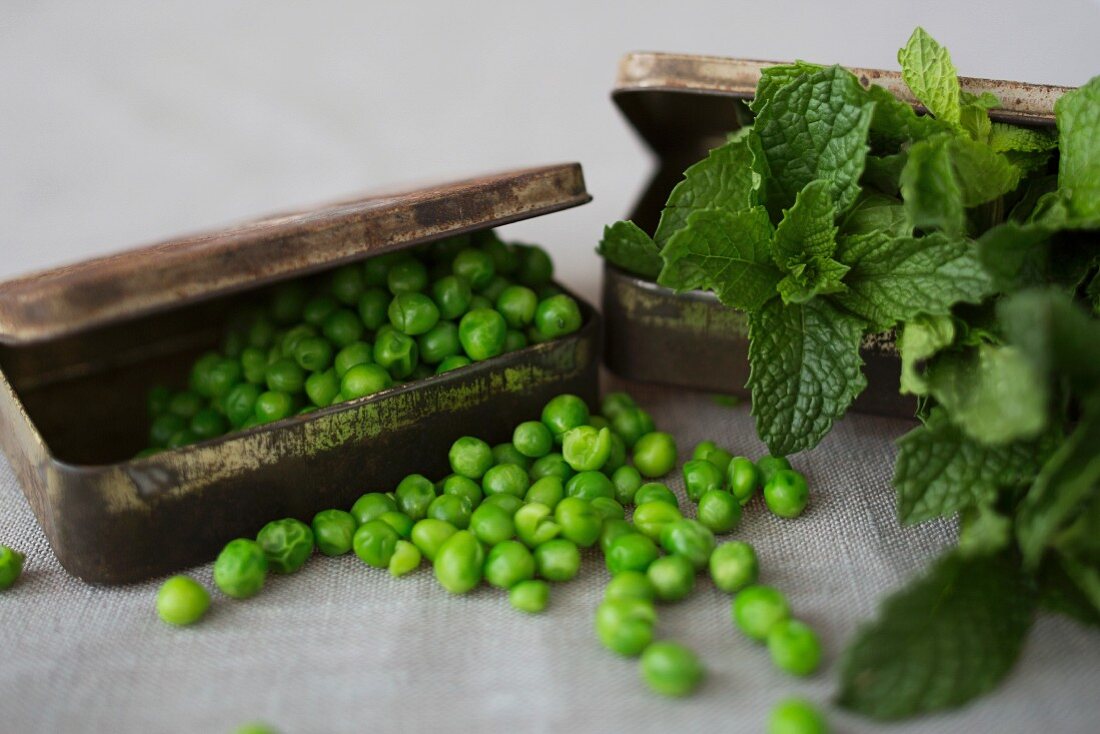 Mint and Pea Ingredients in Tins