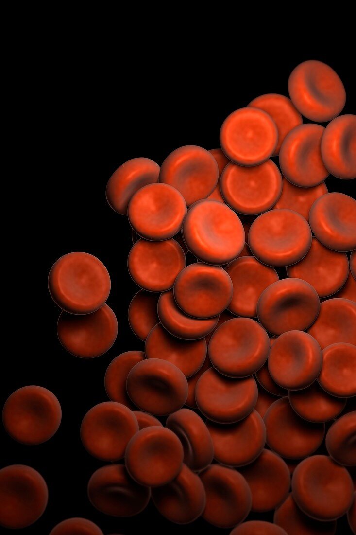 Red Blood Cells, artwork