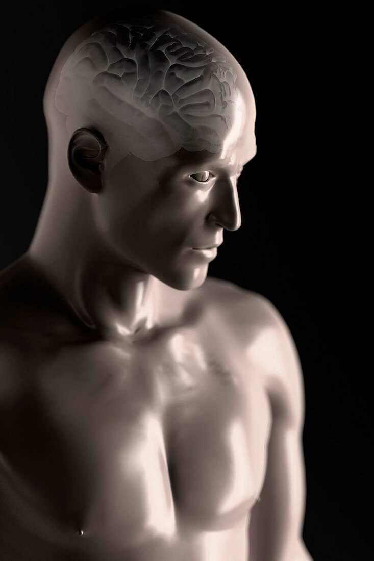 Male Figure with Brain, artwork