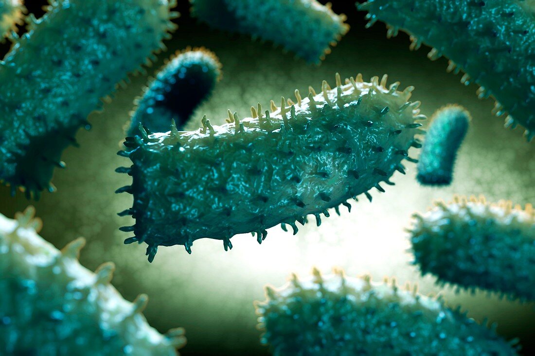 Rabies Virus Particles, artwork