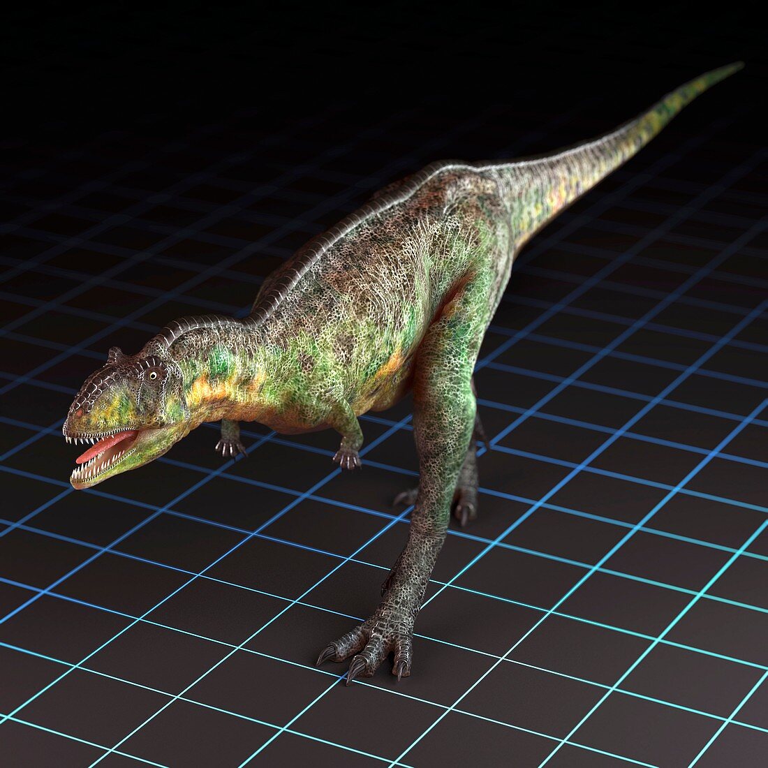 Aucasaurus Dinosaur, artwork