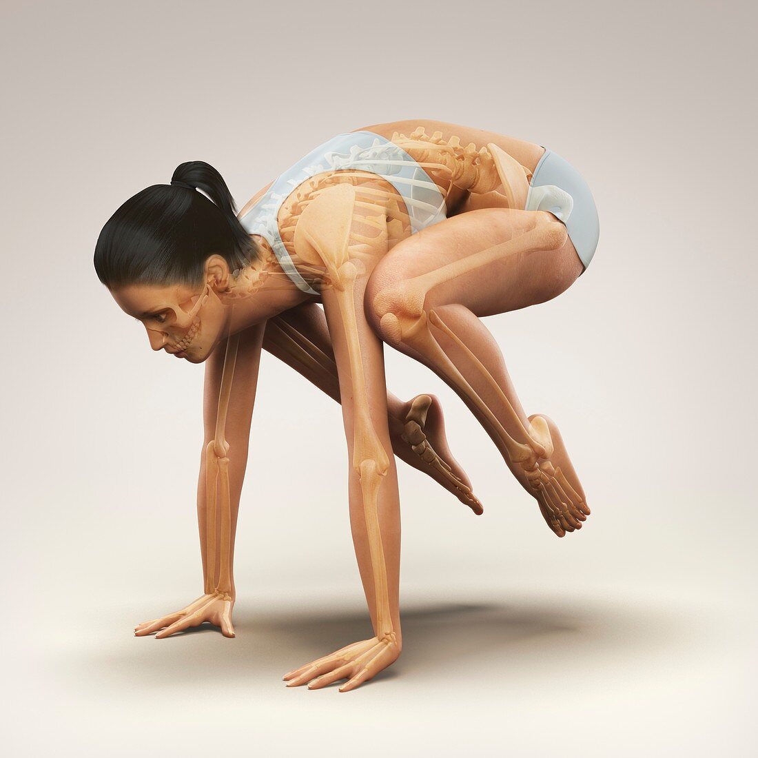 Yoga Crane Pose, artwork