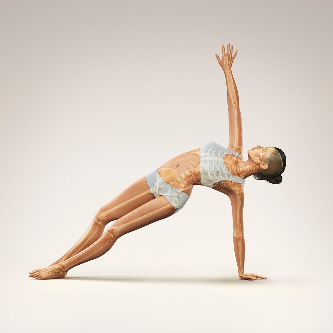 Yoga Side Plank Pose, artwork