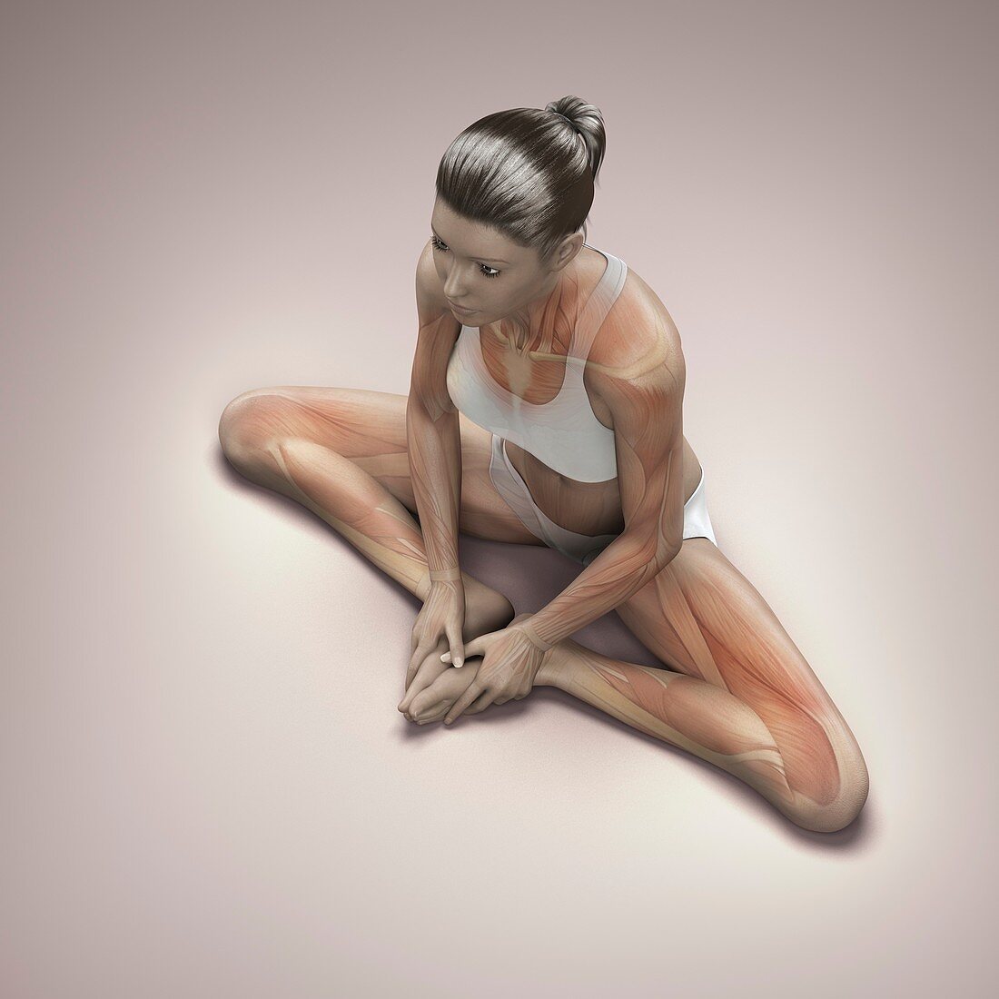 Yoga Bound Angle Pose, artwork