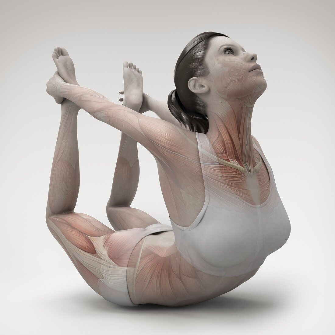 Yoga Bow Pose, artwork