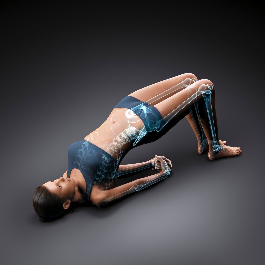 Yoga Bridge Pose, artwork