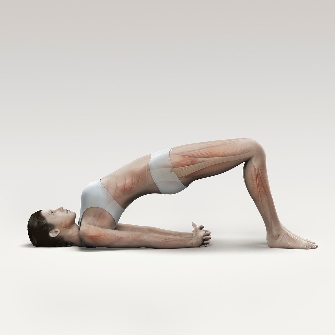 Yoga Bridge Pose, artwork