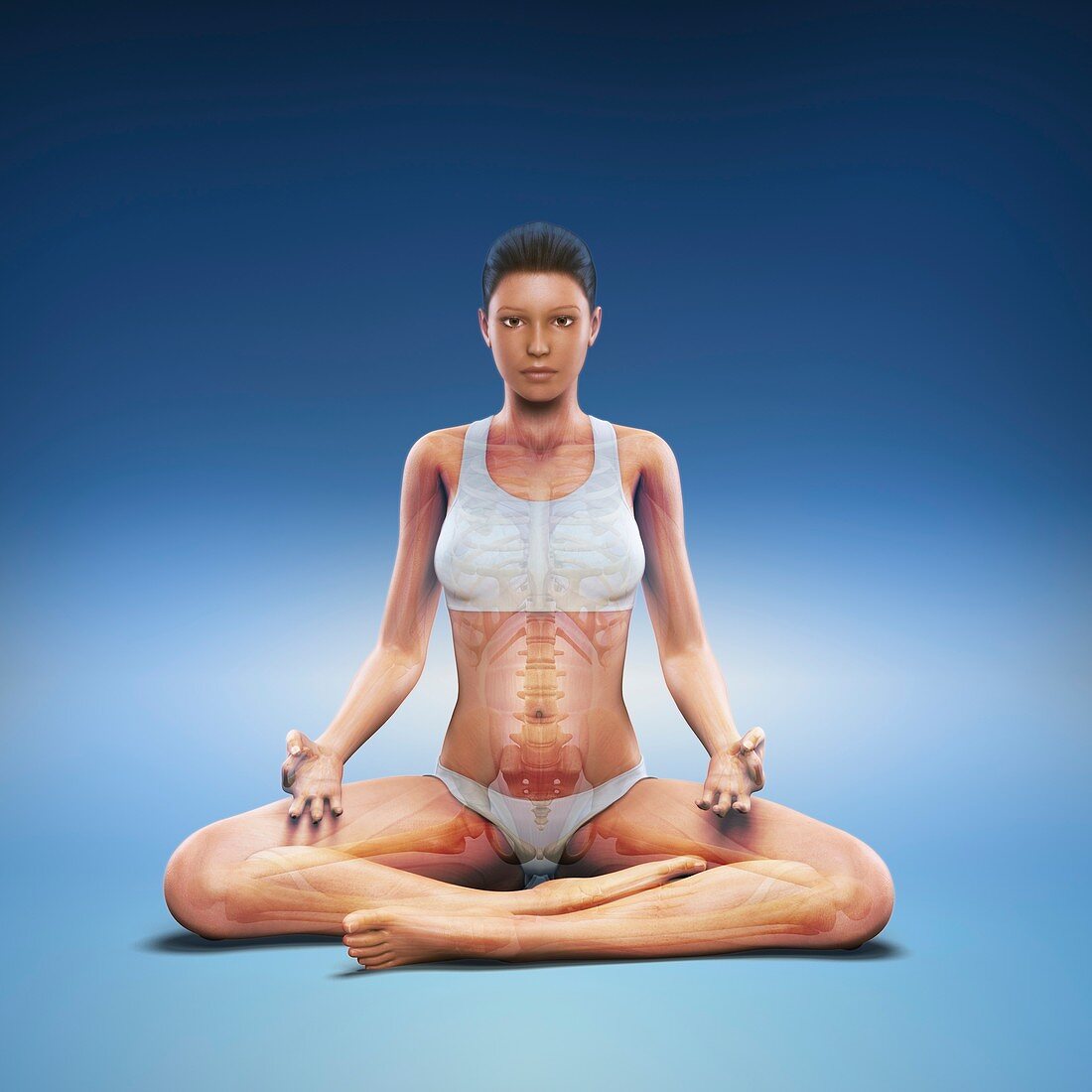 Yoga Meditation Pose, artwork