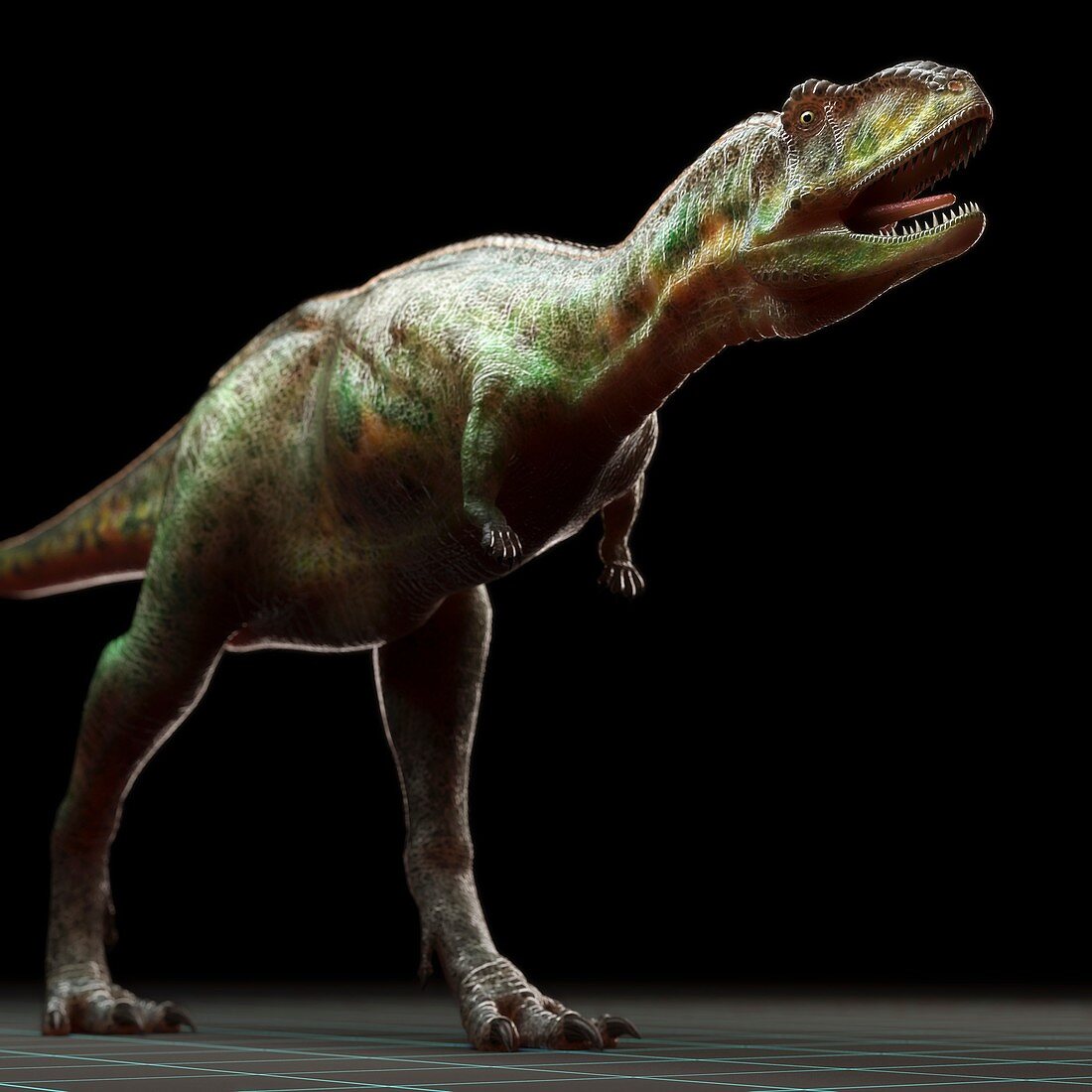 Aucasaurus Dinosaur, artwork