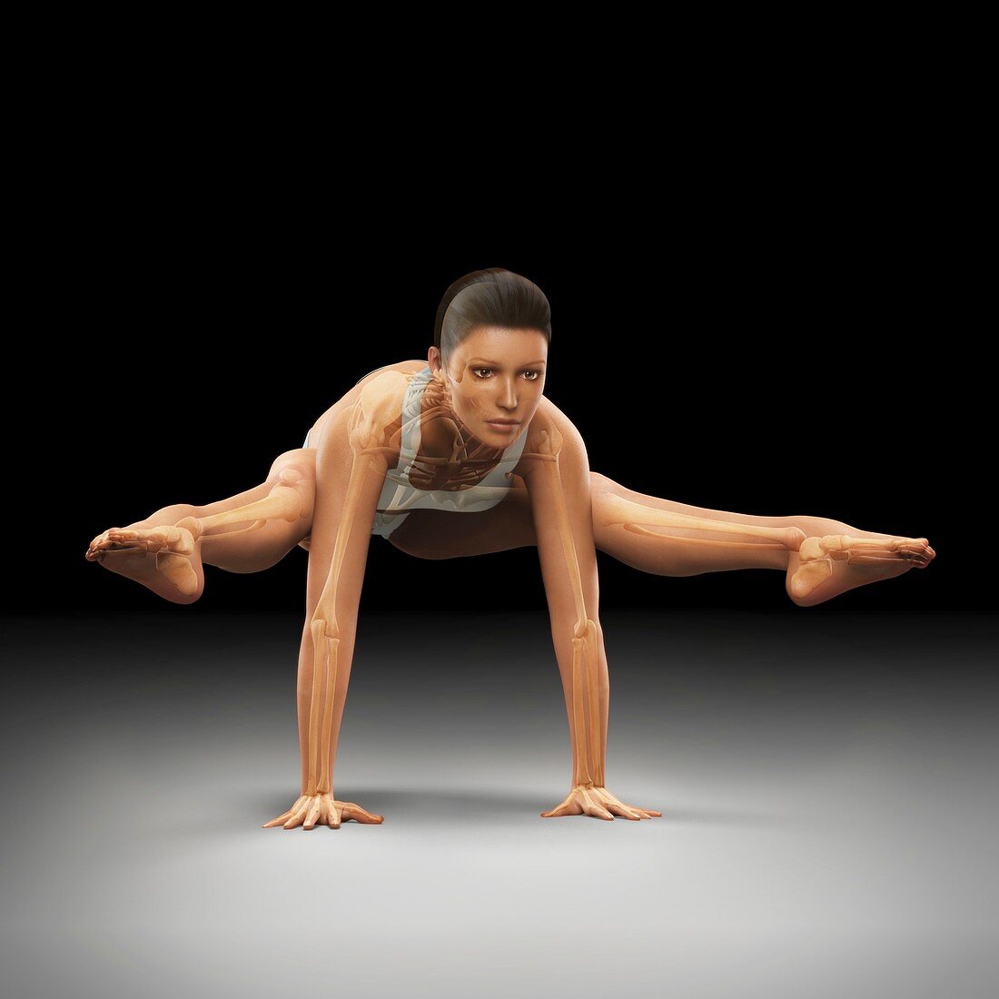 Yoga Firefly Pose, artwork