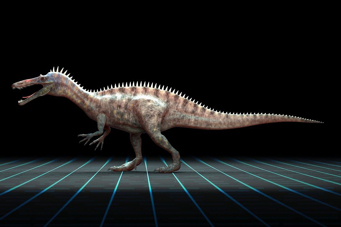 Suchomimus Dinosaur, artwork