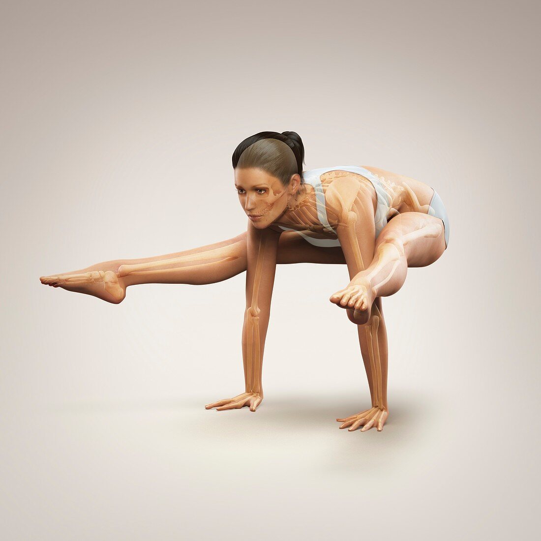 Yoga Firefly Pose, artwork