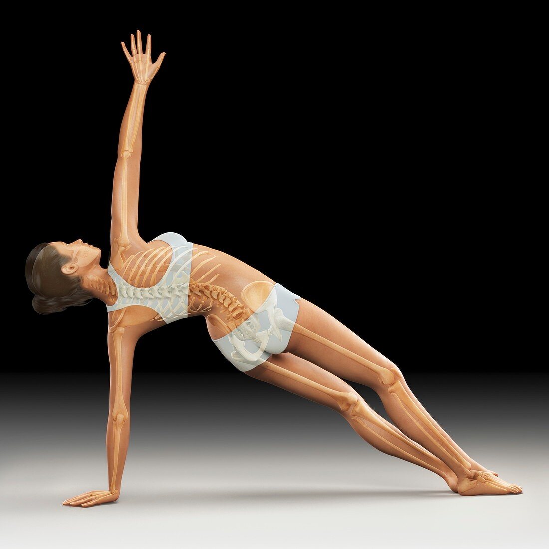 Yoga Side Plank Pose, artwork