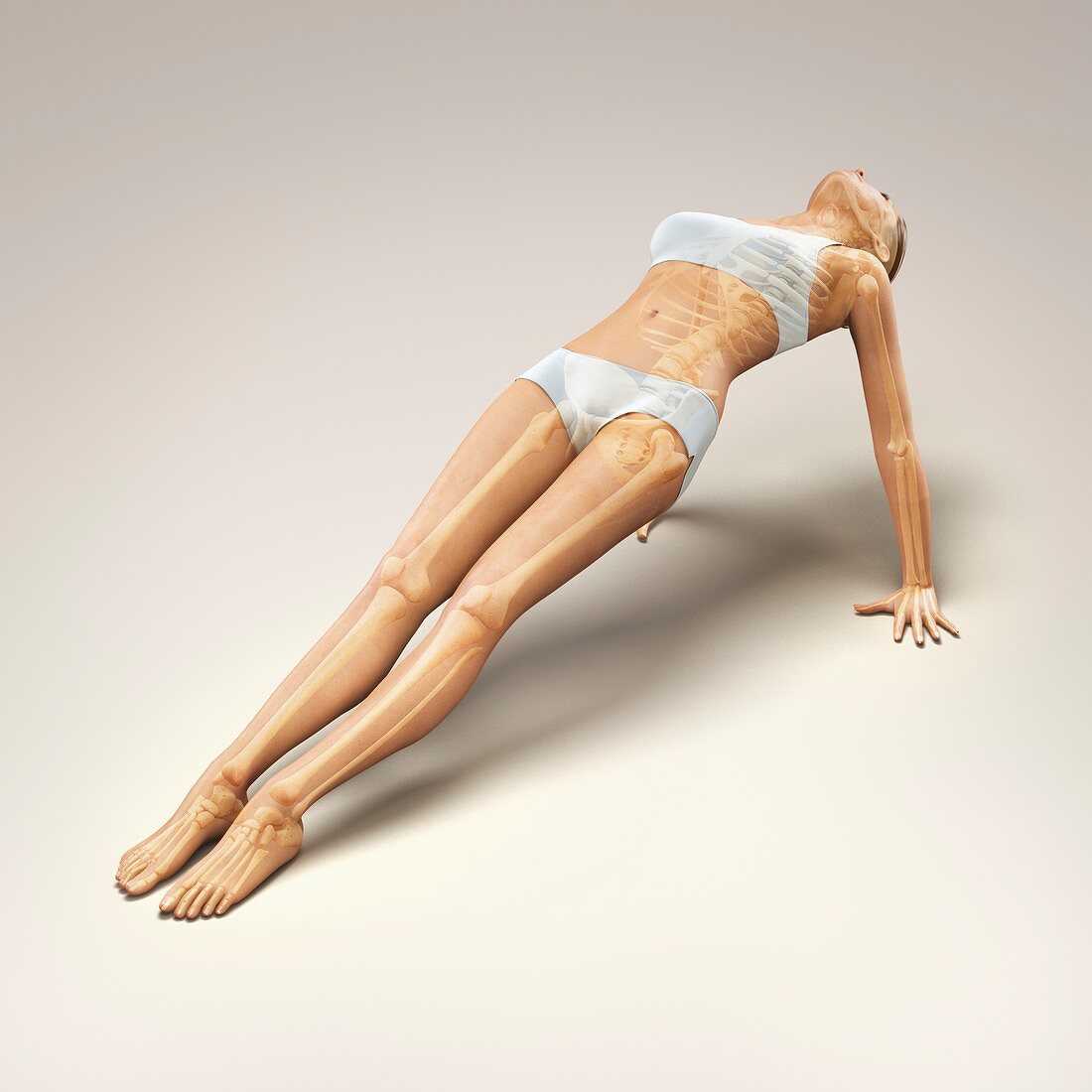 Yoga Upward Plank Pose, artwork