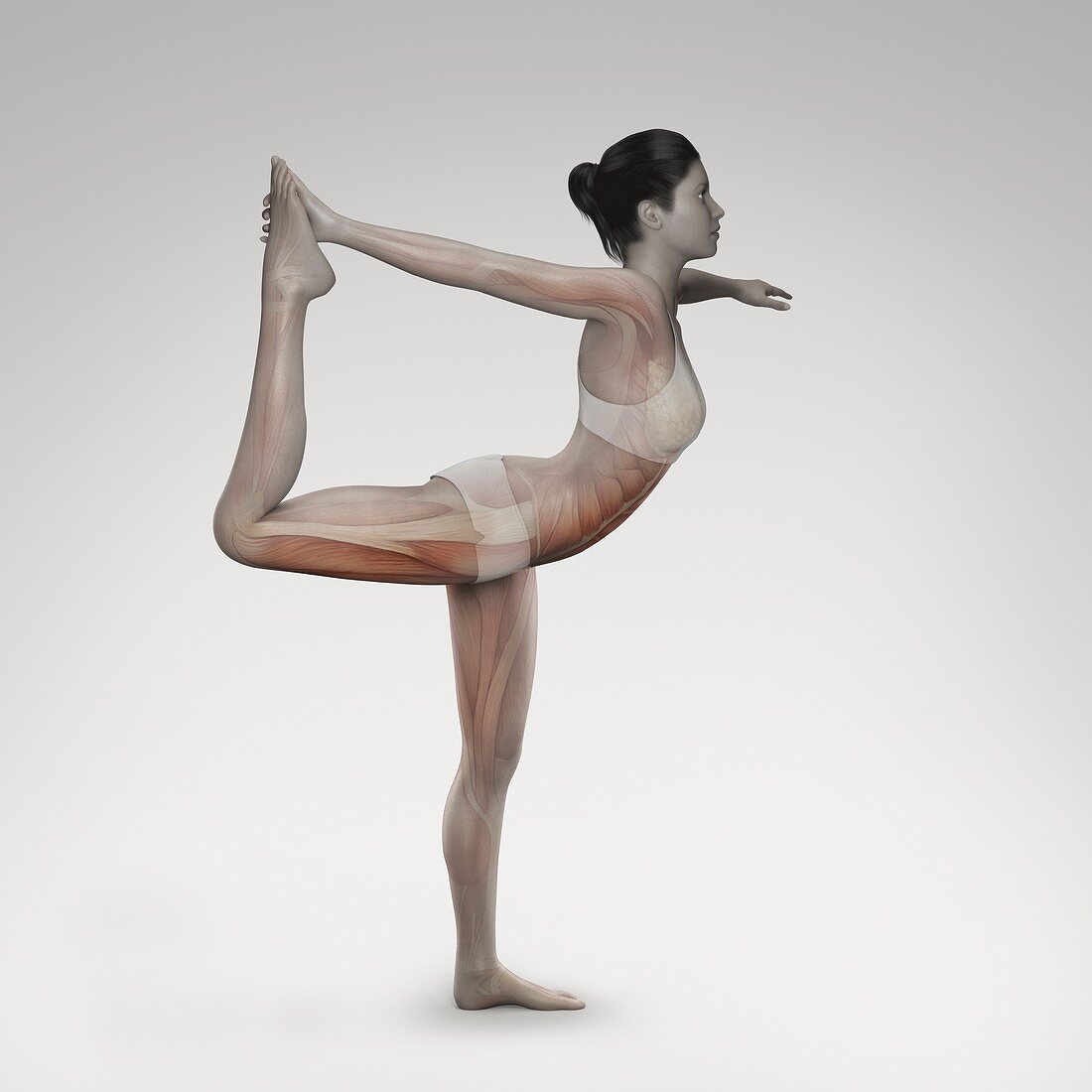 Yoga The Dancer's Pose, artwork